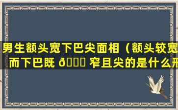 男生额头宽下巴尖面相（额头较宽而下巴既 🍀 窄且尖的是什么形脸型）